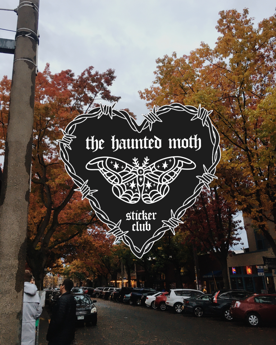 The Haunted Moth